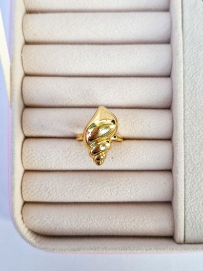 ANILLO CARACOL